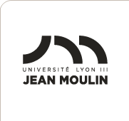 里昂第三大学（Université Lyon 3 Jean Moulin），法国公立大学，创立于1970年，大学坐落于城市的一端，由众多壮观和功能齐全的建筑群构成，与整个城市融为一体。