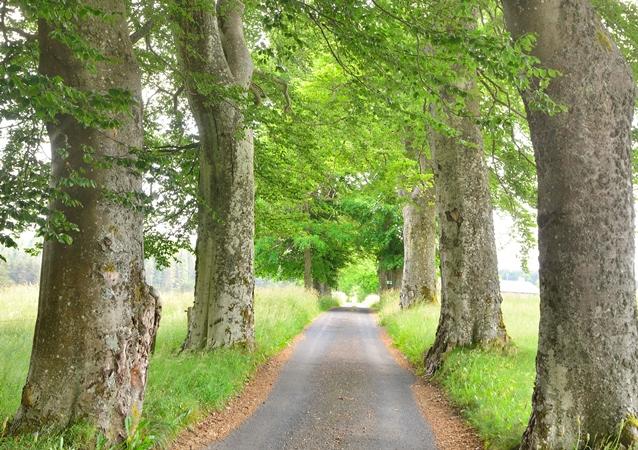 Ecrivains et penseurs Chambon-sur-Lignon