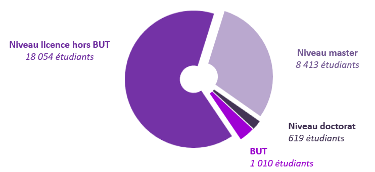 Graphique circulaire avec la répartition par cursus