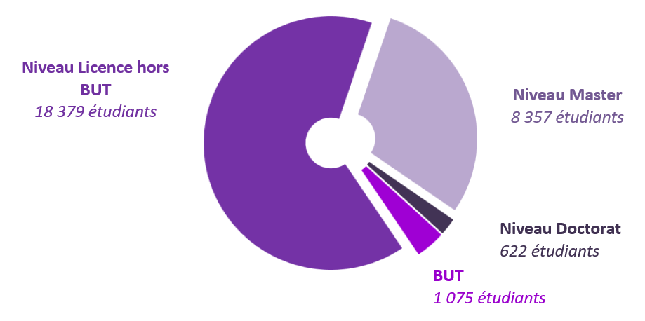 Répartition des étudiants par cursus