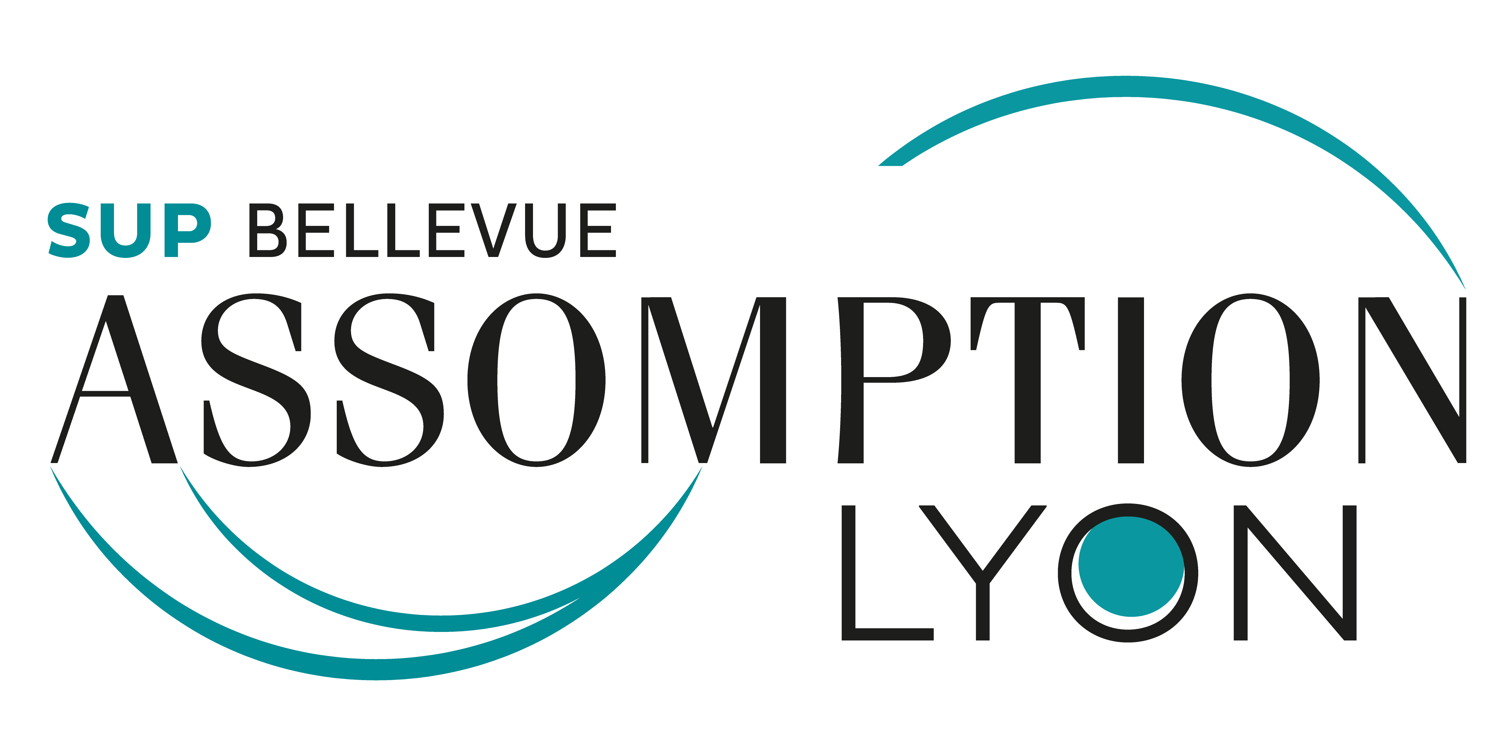 Logo Assomption Bellevue Lyon