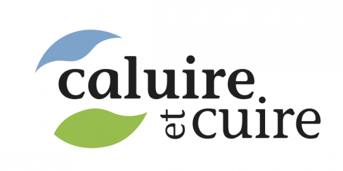 Logo Ville de Caluire et Cuire