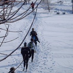 Trail sur neige