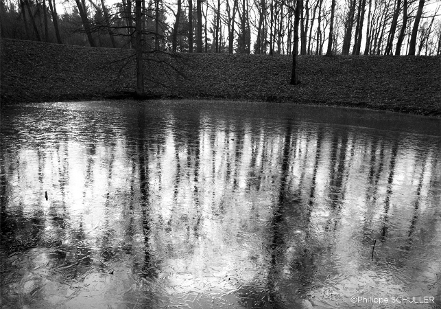 Trou de mine, vestige de la 1ere Guerre Mondiale, à proximité de Ypres (Belgique, 2002) Photo : Philippe Schuller)