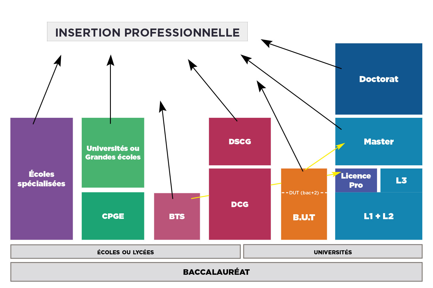 Schéma des études après le Bac