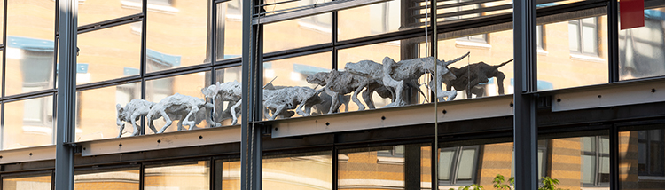 T.Léo - sculptures sur façade sud de la B.U. ©David VERNIER - Université Jean Moulin Lyon 3