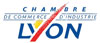 logo CCI Lyon 
