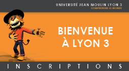 Visuel inscriptions