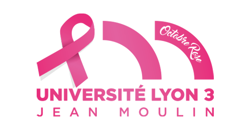 Université Jean Moulin Lyon 3 - Retour à la page d'accueil logo